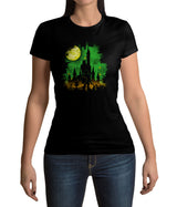 Hyrule, Link, Zelda T-Shirt, nerdshirt