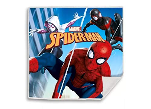 Spiderman und Avengers - Magisches Handtuch