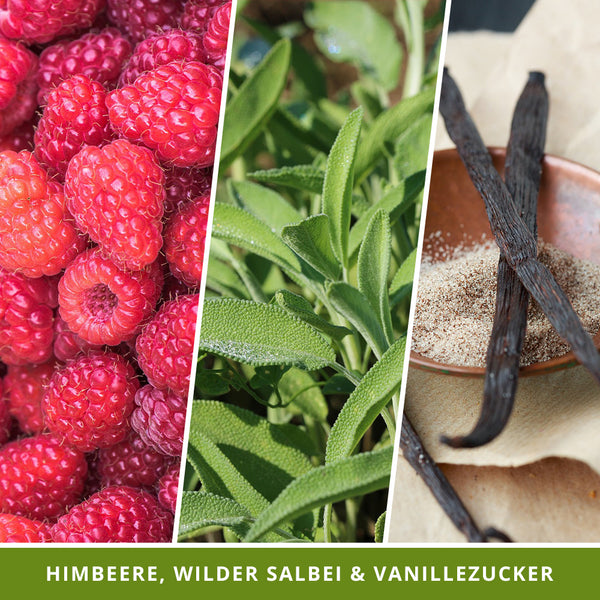 Duftkerze Mushroom Kingdom - Fantasy Scents