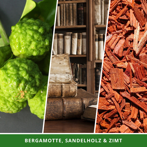 Bücher Duftkerze - Bibliothek - Pen and Paper 