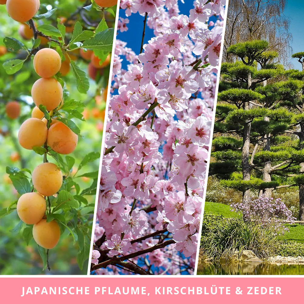 Scented candle Sakura - Fantasy Scents