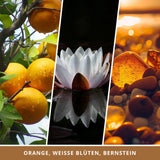 Duftkerze Horror Collection: Wahnsinn und Wissen - Fantasy Scents