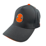 Pokemon - Snapback